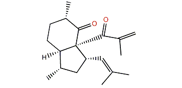 Elisabethin B